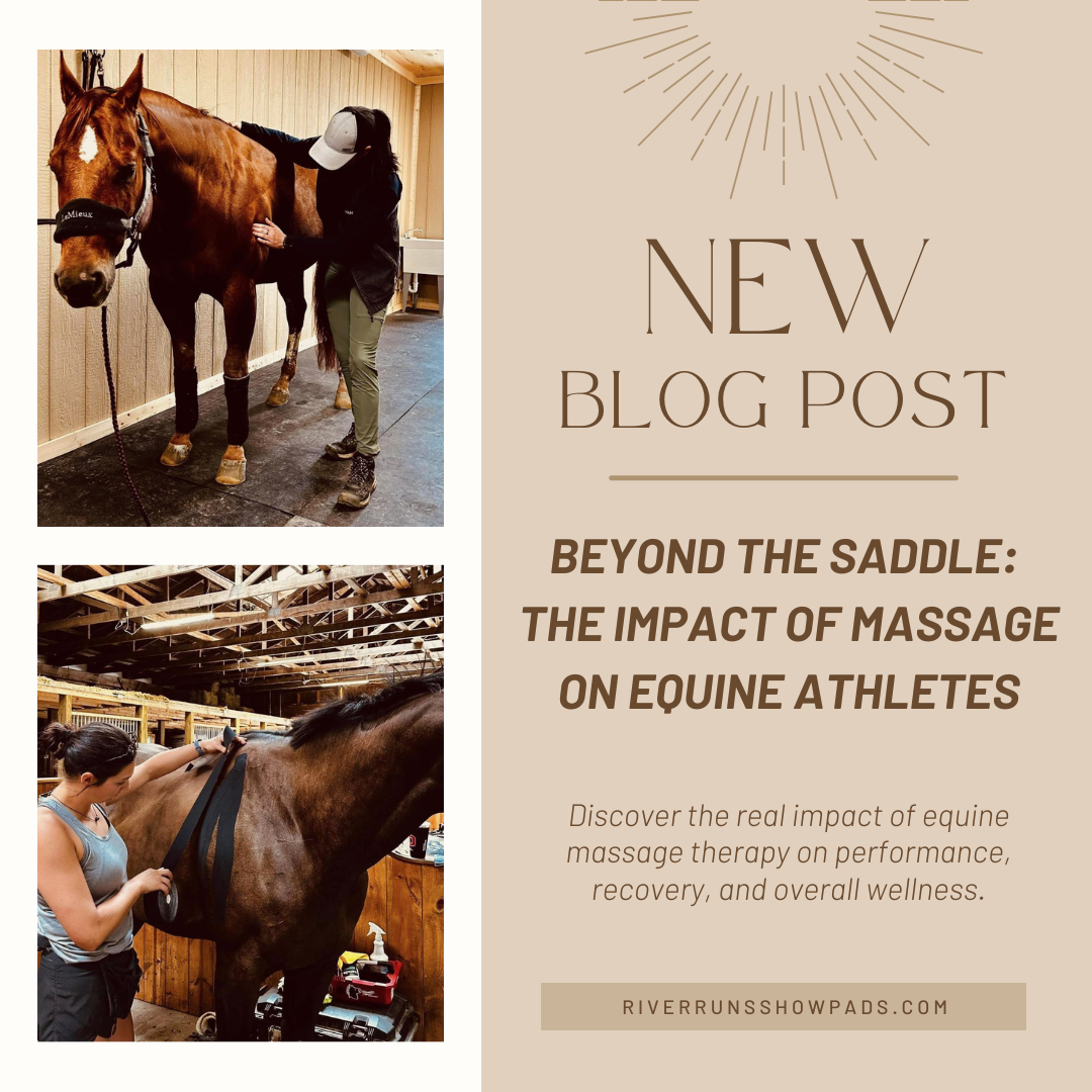 Beyond the Saddle: The Impact of Massage on Equine Athletes