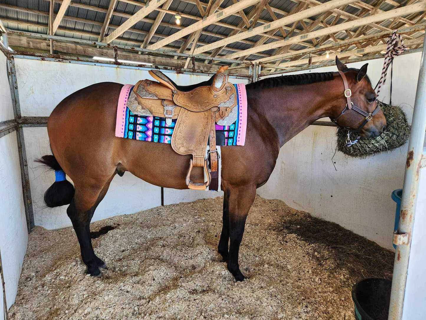 #1014 "Cotton Candy" Show Pad