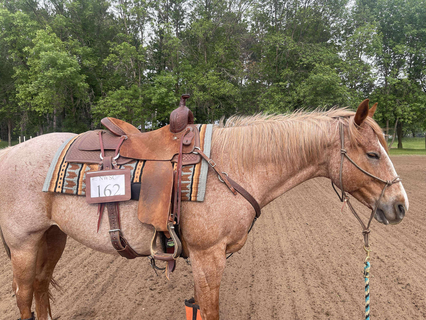 #1009 "Mocha Cocoa" Show Pad