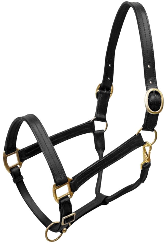 Leather Halter