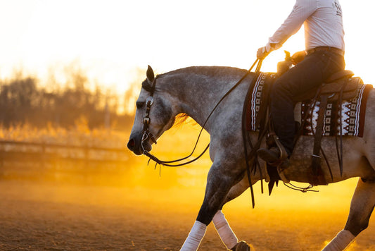 The History and Evolution of Western Show Pads