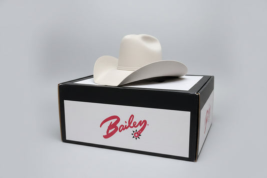Baileys White Felt Hat - Size 6 7/8