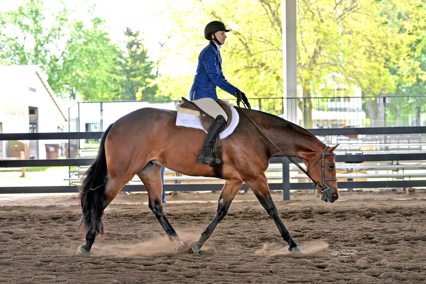 Blue Plaid with Tan English Show Coat