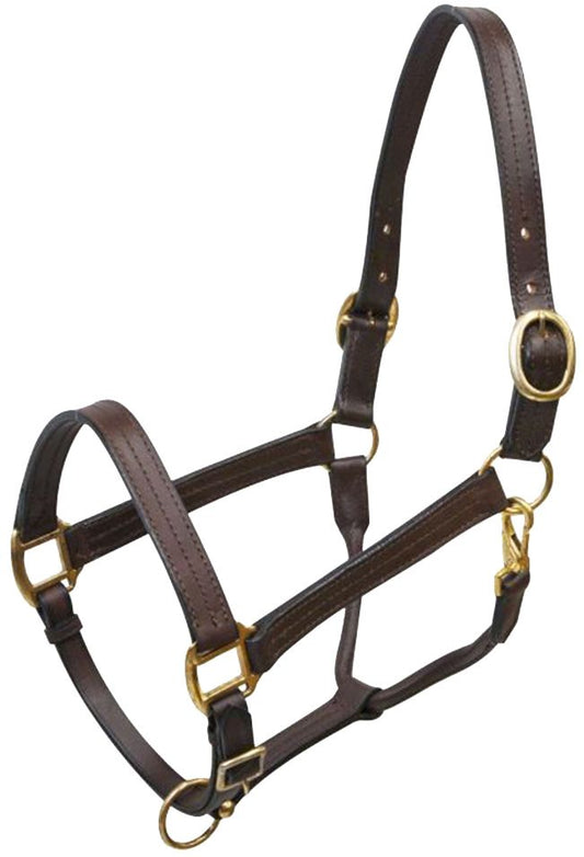 Leather Halter