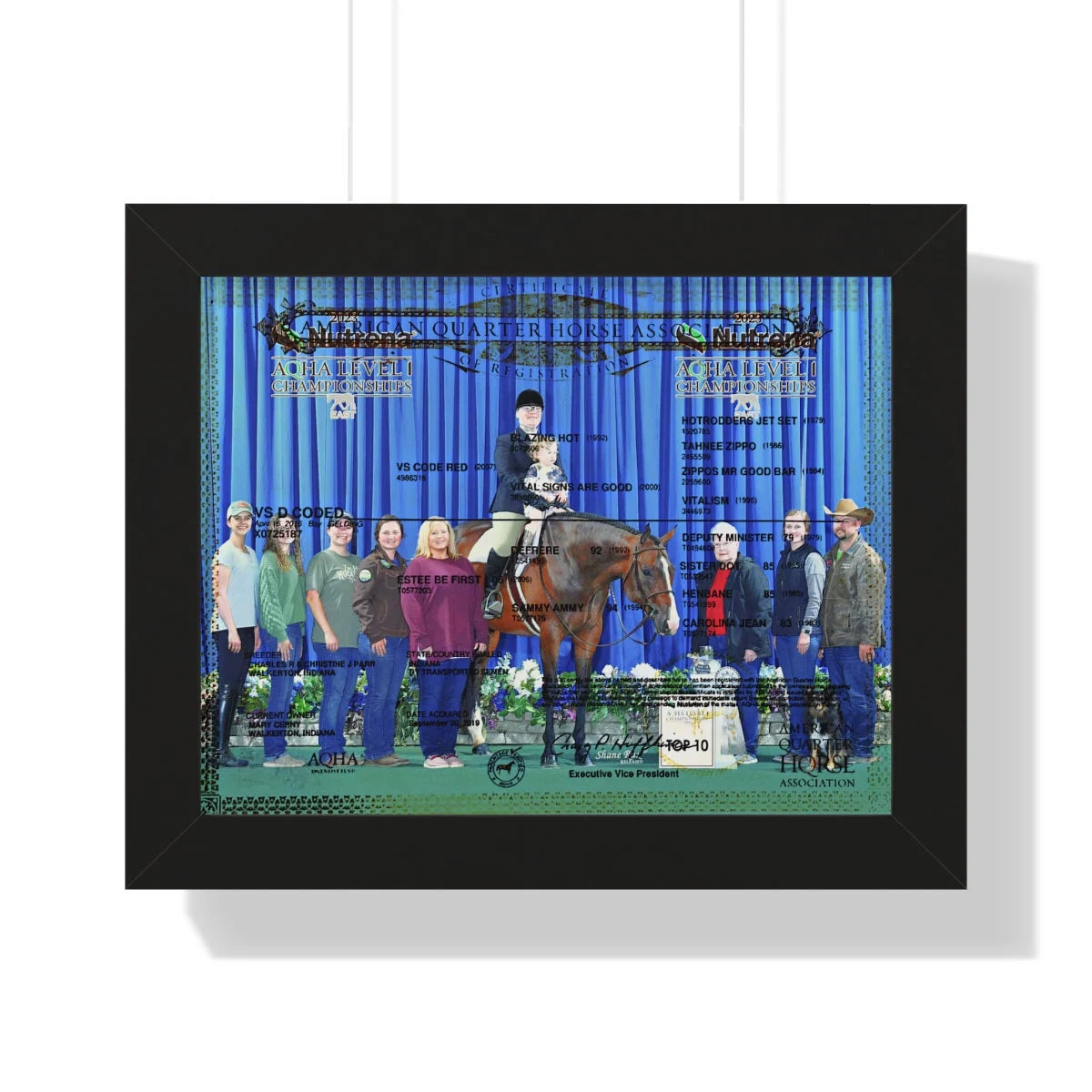 Customized Equine Registration Wall Art Displays