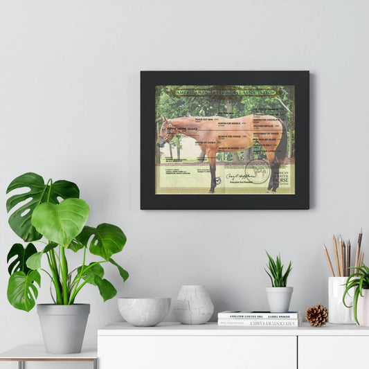 Customized Equine Registration Wall Art Displays