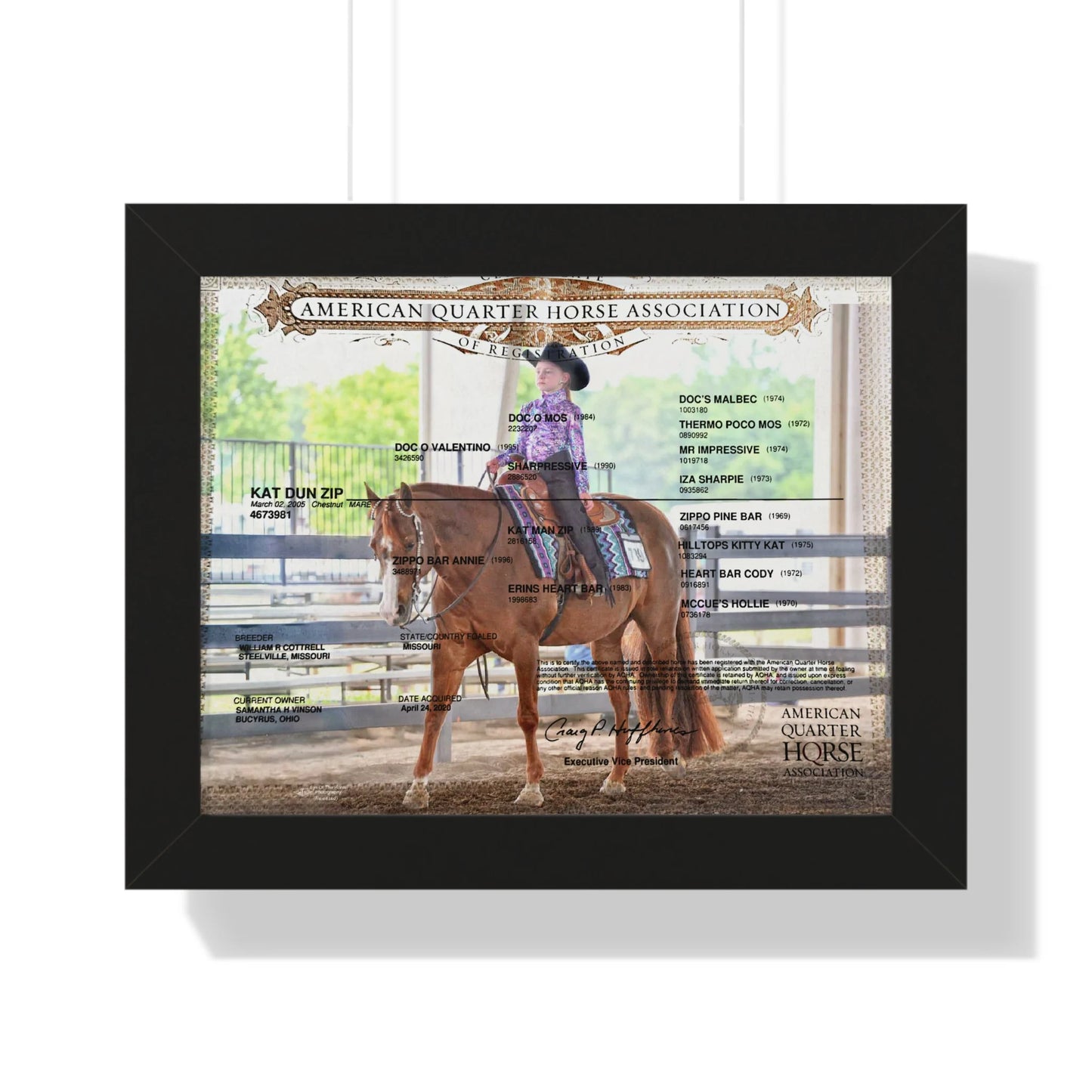 Customized Equine Registration Wall Art Displays