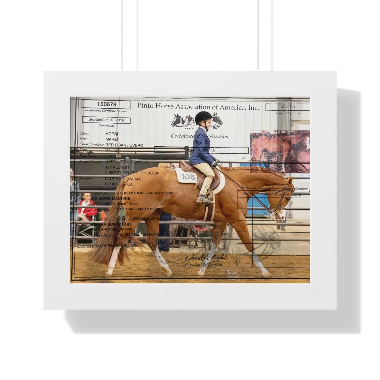 Customized Equine Registration Wall Art Displays