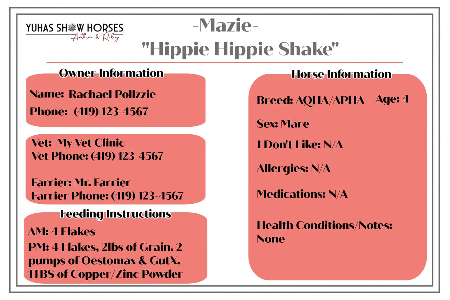 Horse Medical Information Stall Card for Training/Boarding Barns